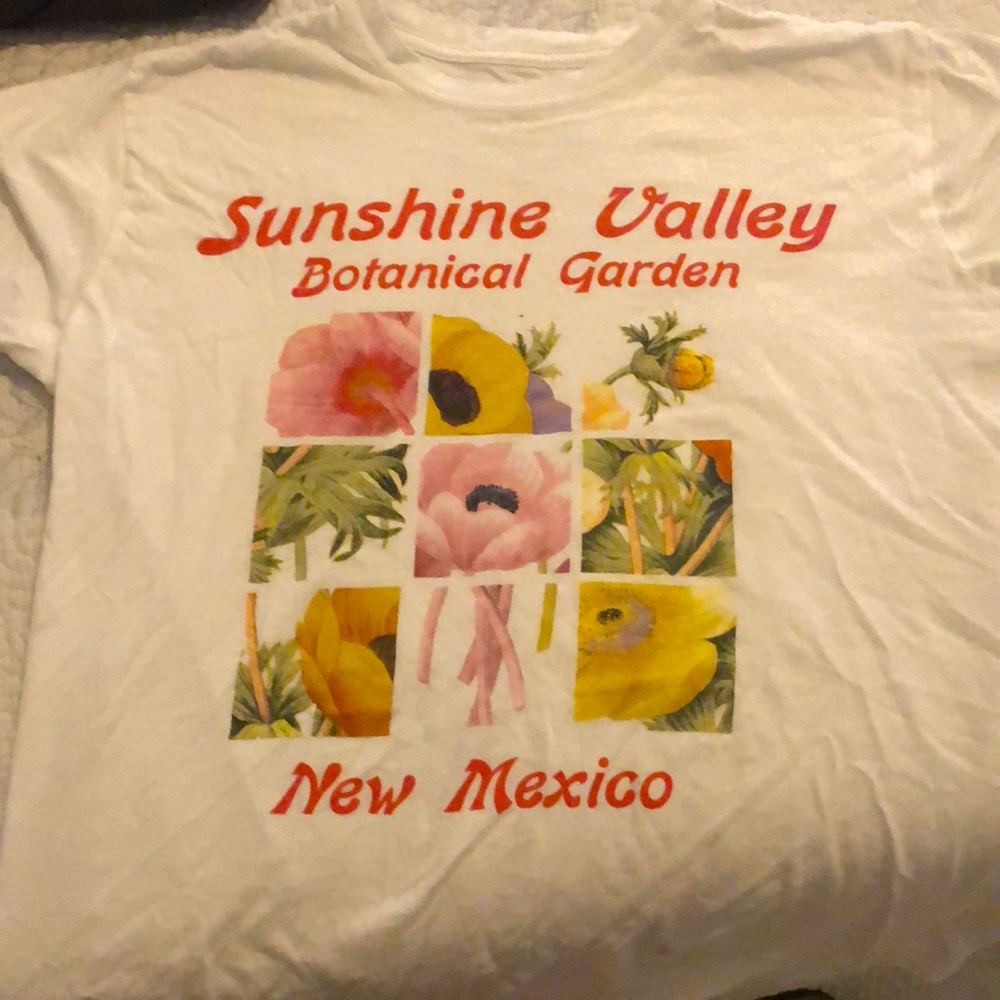 2 shirts from pacsun